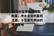 12万小生意如何赚取财富,中小企业的盈利之道,小生意大利润的赚钱策略 12万小生意如何赚取财富,中小企业的盈利之道,小生意大利润的赚钱策略