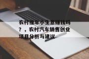 农村推车小生意赚钱吗？，农村汽车销售创业项目分析与建议