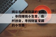 揭示农村里隐藏的宝藏,寻找赚钱小生意,农村创业,寻找财富宝藏的小生意