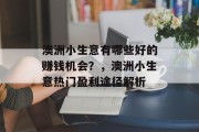 澳洲小生意有哪些好的赚钱机会?,澳洲小生意热门盈利途径解析 澳洲小生意有哪些好的赚钱机会?,澳洲小生意热门盈利途径解析