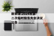 新宏泽:2024年第二次临时股东大会决议公告