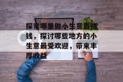 探索哪里做小生意最赚钱,探讨哪些地方的小生意最受欢迎,带来丰厚收益 探索哪里做小生意最赚钱,探讨哪些地方的小生意最受欢迎,带来丰厚收益