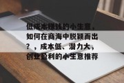 低成本赚钱的小生意,如何在商海中脱颖而出?,成本低、潜力大,创业盈利的小生意推荐