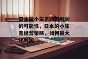 日本做小生意赚取利润的可能性，日本的小生意经营策略，如何最大化利润