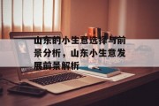 山东的小生意选择与前景分析,山东小生意发展前景解析 山东的小生意选择与前景分析,山东小生意发展前景解析