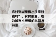 农村到城里做小生意赚钱吗?,农村创业,成为城市小老板的出路与前景 农村到城里做小生意赚钱吗?,农村创业,成为城市小老板的出路与前景