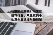 北京如何赚钱?小生意推荐行业,从北京的小生意创业选择与赚钱策略 北京如何赚钱?小生意推荐行业,从北京的小生意创业选择与赚钱策略