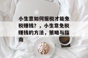 小生意如何报税才能免税赚钱?,小生意免税赚钱的方法,策略与指南