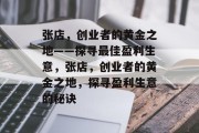 张店，创业者的黄金之地——探寻最佳盈利生意，张店，创业者的黄金之地，探寻盈利生意的秘诀
