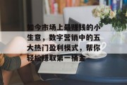 如今市场上最赚钱的小生意，数字营销中的五大热门盈利模式，帮你轻松赚取第一桶金