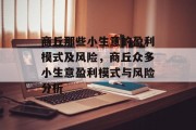 商丘那些小生意的盈利模式及风险,商丘众多小生意盈利模式与风险分析 商丘那些小生意的盈利模式及风险,商丘众多小生意盈利模式与风险分析