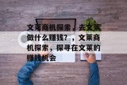 文莱商机探索,去文莱做什么赚钱?,文莱商机探索,探寻在文莱的赚钱机会