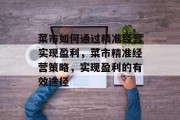菜市如何通过精准经营实现盈利,菜市精准经营策略,实现盈利的有效途径 菜市如何通过精准经营实现盈利,菜市精准经营策略,实现盈利的有效途径