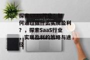 探索SaaS行业,如何通过做什么实现盈利?,探索SaaS行业,实现盈利的策略与途径 探索SaaS行业,如何通过做什么实现盈利?,探索SaaS行业,实现盈利的策略与途径