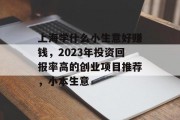 上海学什么小生意好赚钱,2023年投资回报率高的创业项目推荐,小本生意 上海学什么小生意好赚钱,2023年投资回报率高的创业项目推荐,小本生意