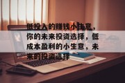 低投入的赚钱小生意,你的未来投资选择,低成本盈利的小生意,未来的投资选择