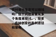 农村做小生意可以赚钱吗?这个问题需要从多个角度来探讨。,探索,农村创业的盈利途径和策略 农村做小生意可以赚钱吗?这个问题需要从多个角度来探讨。,探索,农村创业的盈利途径和策略