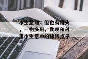小生意难，但也有赚头，一物多用，发现和利用小生意中的赚钱点子