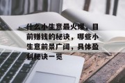 什么小生意最火爆,目前赚钱的秘诀,哪些小生意前景广阔,具体盈利秘诀一览 什么小生意最火爆,目前赚钱的秘诀,哪些小生意前景广阔,具体盈利秘诀一览