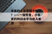 单县的小生意赚不赚钱?——一探究竟,小生意的利润水平与收入来源