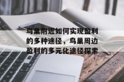 鸟巢附近如何实现盈利的多种途径,鸟巢周边盈利的多元化途径探索