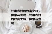 甘肃农村的致富之路，探索与发现，甘肃农村的致富之路，探索与发现