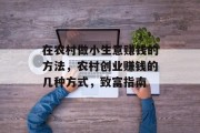 在农村做小生意赚钱的方法,农村创业赚钱的几种方式,致富指南 在农村做小生意赚钱的方法,农村创业赚钱的几种方式,致富指南