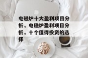 电磁炉十大盈利项目分析,电磁炉盈利项目分析,十个值得投资的选择