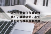 做小生意如何在县城赚钱?,县城创业,小生意的可行性和盈利策略 做小生意如何在县城赚钱?,县城创业,小生意的可行性和盈利策略