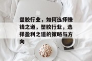 塑胶行业,如何选择赚钱之道,塑胶行业,选择盈利之道的策略与方向