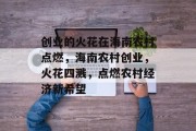 创业的火花在海南农村点燃,海南农村创业,火花四溅,点燃农村经济新希望 创业的火花在海南农村点燃,海南农村创业,火花四溅,点燃农村经济新希望