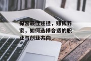 探索最佳途径,赚钱养家,如何选择合适的职业与创业方向