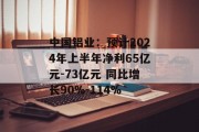 中国铝业:预计2024年上半年净利65亿元-73亿元 同比增长90%-114% 中国铝业:预计2024年上半年净利65亿元-73亿元 同比增长90%-114%