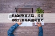 县城的财富之路，探索哪些行业最具盈利潜力