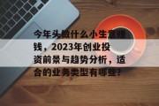 今年头做什么小生意赚钱,2023年创业投资前景与趋势分析,适合的业务类型有哪些?