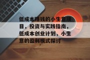 低成本赚钱的小生意项目，投资与实践指南，低成本创业计划，小生意的盈利模式探讨