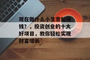 现在做什么小生意能赚钱?,投资创业的十大好项目,教你轻松实现财富增长 现在做什么小生意能赚钱?,投资创业的十大好项目,教你轻松实现财富增长