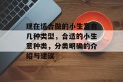 现在适合做的小生意有几种类型,合适的小生意种类,分类明确的介绍与建议 现在适合做的小生意有几种类型,合适的小生意种类,分类明确的介绍与建议