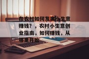 在农村如何发展小生意赚钱?,农村小生意创业指南,如何赚钱,从哪里开始 在农村如何发展小生意赚钱?,农村小生意创业指南,如何赚钱,从哪里开始