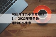 现在开什么小生意赚钱?,2023年春季最赚钱的小生意 现在开什么小生意赚钱?,2023年春季最赚钱的小生意