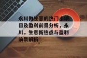 永川做生意的热门小项目及盈利前景分析,永川,生意新热点与盈利前景解析