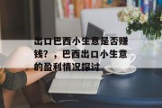 出口巴西小生意是否赚钱?,巴西出口小生意的盈利情况探讨 出口巴西小生意是否赚钱?,巴西出口小生意的盈利情况探讨