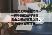 东山之上的财富之路——探寻最佳盈利项目,东山之巅的财富之路,探寻最佳盈利项目