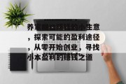 养家糊口赚钱的小生意，探索可能的盈利途径，从零开始创业，寻找小本盈利的赚钱之道