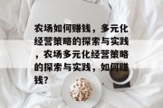 农场如何赚钱,多元化经营策略的探索与实践,农场多元化经营策略的探索与实践,如何赚钱? 农场如何赚钱,多元化经营策略的探索与实践,农场多元化经营策略的探索与实践,如何赚钱?