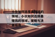 小伙如何选择最赚钱的领域,小伙如何选择最赚钱的领域,策略与决策指南 小伙如何选择最赚钱的领域,小伙如何选择最赚钱的领域,策略与决策指南