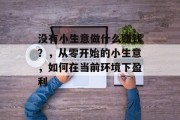 没有小生意做什么赚钱？，从零开始的小生意，如何在当前环境下盈利