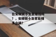 在安顺做小生意赚钱吗?,安顺做小生意能赚多少钱? 在安顺做小生意赚钱吗?,安顺做小生意能赚多少钱?