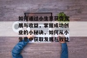 如何通过小生意获得发展与收益，掌握成功创业的小秘诀，如何从小生意中获取发展与收益