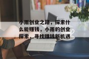 小雨创业之路，探索什么能赚钱，小雨的创业探索，寻找赚钱新机遇